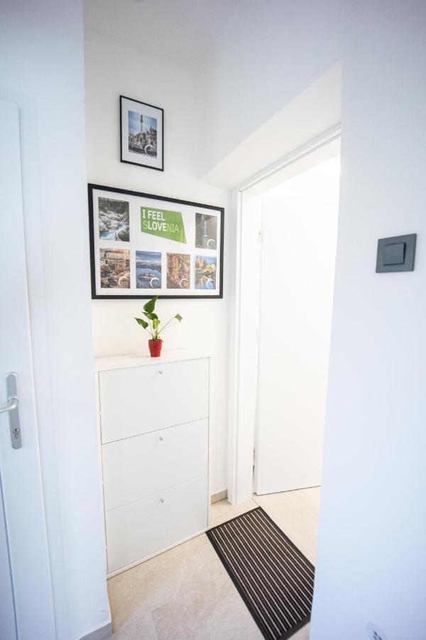 Apartment Mari&Bor Maribor Exteriér fotografie