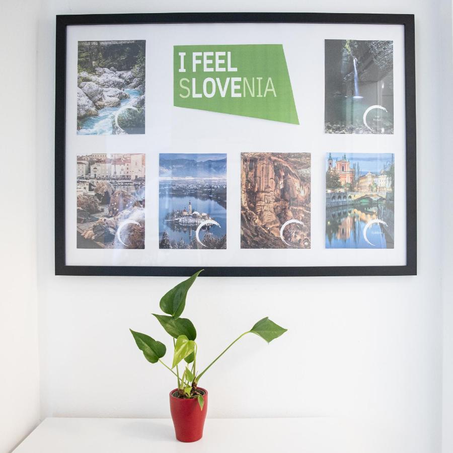 Apartment Mari&Bor Maribor Exteriér fotografie